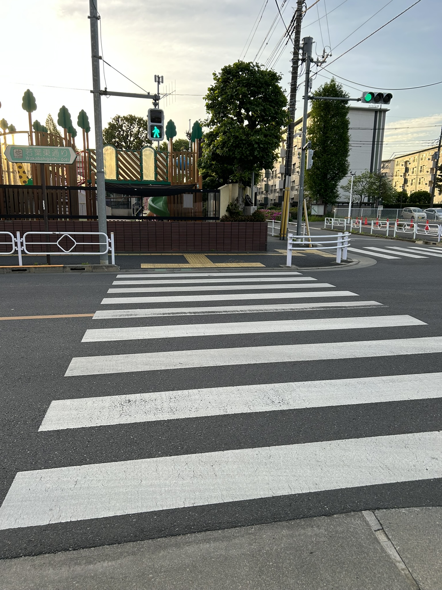 信号のある横断歩道を渡る